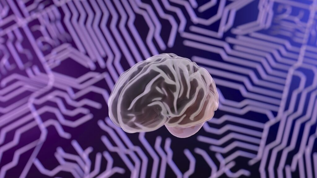 Computer-stylized brain
