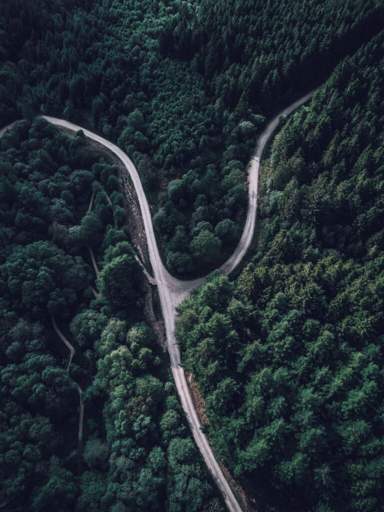 Split Road | User Journey